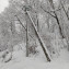 PHOTO-2021-02-19-13-53-03 (5)